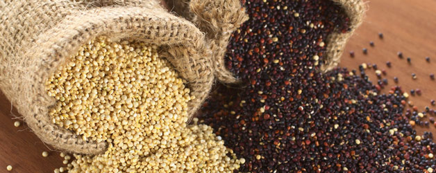 ¿Qué es la quinoa?