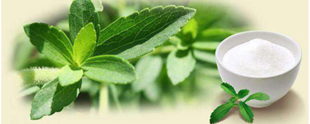 ¿Sabemos qué es la stevia?